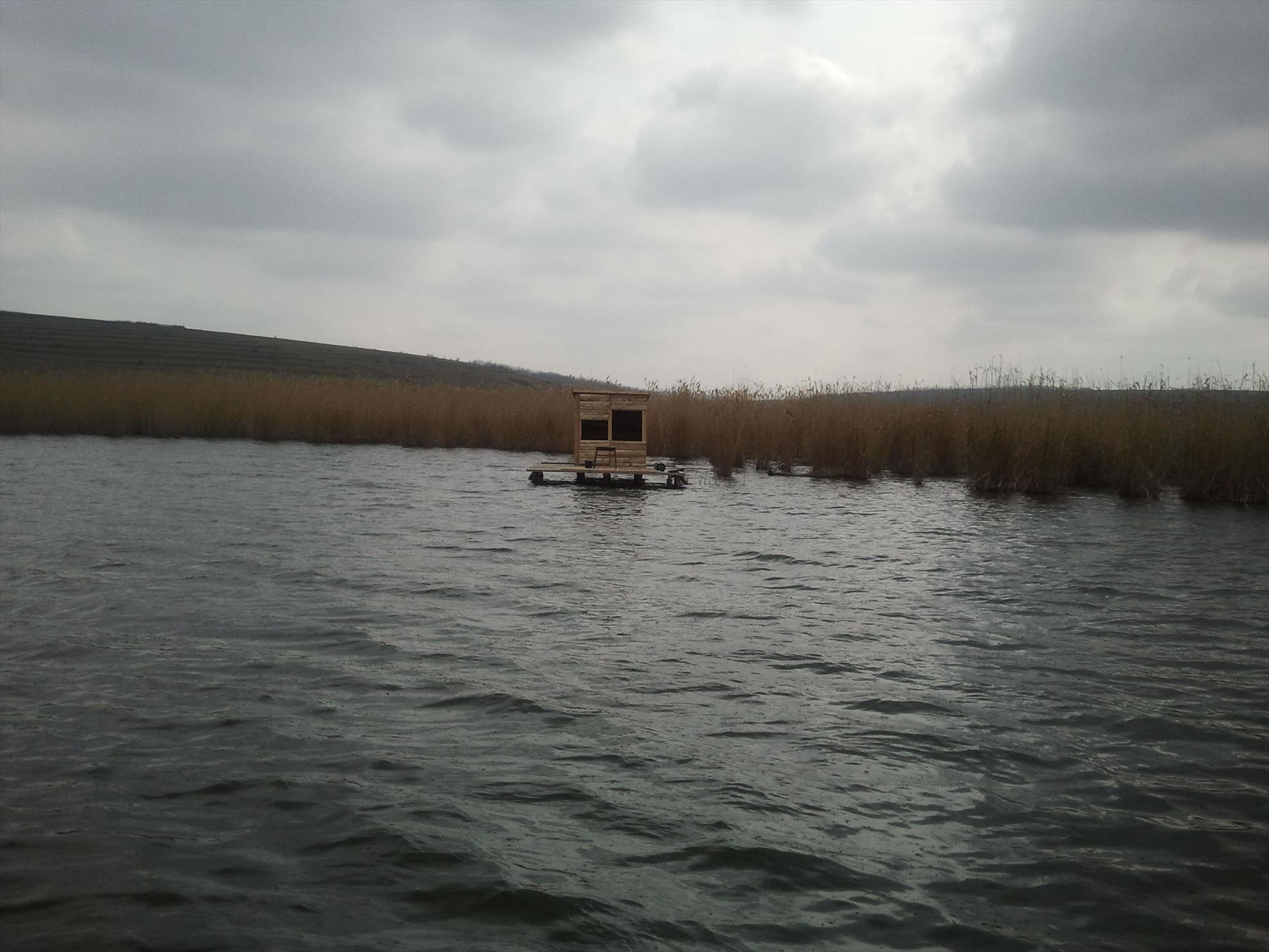 mai multe :) - q31.jpg